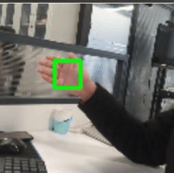 palm_detection_demo