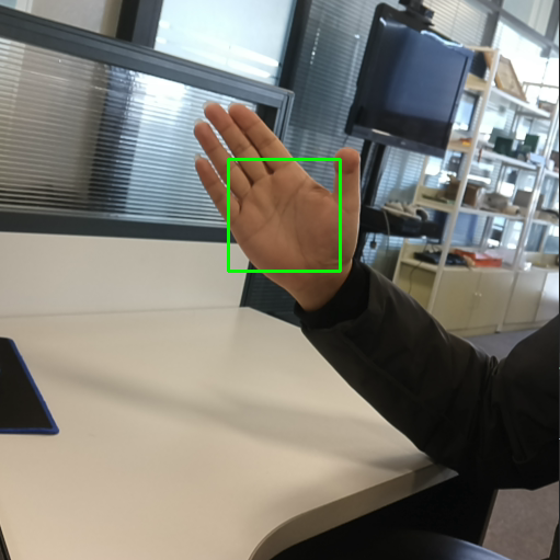 palm_detection