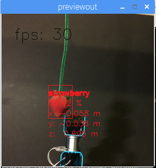 Spatial AI Strawberry Example